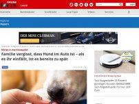 Bild zum Artikel: Mitten in der Hitzewelle! - Familie vergisst, dass Hund im Auto ist – als es ihnen einfällt, ist es bereits zu spät