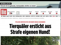 Bild zum Artikel: Er hob schon ein Grab aus - Mieser Tierquäler ersticht aus Strafe eigenen Hund!