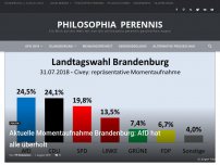 Bild zum Artikel: Aktuelle Momentaufnahme Brandenburg: AfD hat alle überholt