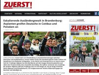 Bild zum Artikel: Eskalierende Ausländergewalt in Brandenburg: Asylanten greifen Deutsche in Cottbus und Potsdam an