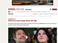 Bild zum Artikel: SPON-Wahltrend: Grüne nur noch knapp hinter der AfD