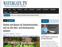 Bild zum Artikel: Gärtner und Bauern als Schwerkriminelle – weil sie alte Obst- und Gemüsesorten anbauen