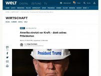 Bild zum Artikel: Amerika strotzt vor Kraft – dank seines brachialen Präsidenten