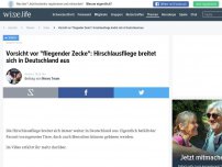 Bild zum Artikel: Vorsicht vor 'fliegender Zecke': Hirschlausfliege breitet sich in Deutschland aus