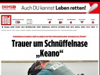 Bild zum Artikel: Erfolgreichster Spürhund - Trauer um Schnüffelnase „Keano“