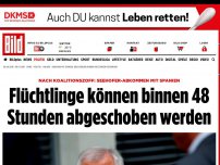 Bild zum Artikel: Migrationsvereinbarung - Seehofer einigt sich mit Spanien