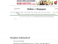 Bild zum Artikel: Steglitz-Zehlendorf: Zickzack-Markierung: Das ist Berlins absurdester Radweg