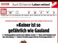 Bild zum Artikel: AfD-Insiderin rechnet ab - »Keiner ist so gefährlich wie Gauland