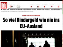 Bild zum Artikel: Neue Statistik - Zahl ausländischer Kindergeldempfänger steigt stark