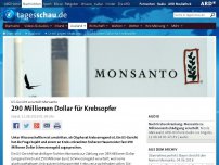 Bild zum Artikel: Urteil gegen Monsanto: 290 Millionen Dollar für Krebsopfer