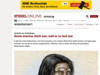 Bild zum Artikel: Verdacht von Archäologen: Homo erectus starb aus, weil er zu faul war