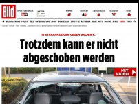 Bild zum Artikel: Dauer-Randale - Flüchtling terrorisiert ganze Stadt!