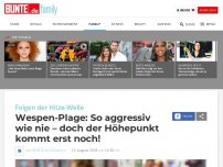 Bild zum Artikel: Wespen-Plage: So aggressiv wie nie – doch der Höhepunkt kommt erst noch!