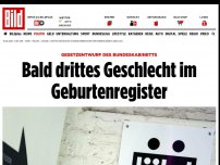 Bild zum Artikel: Bundeskabinett - Bald drittes Geschlecht im Geburtenregister