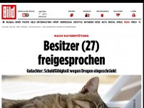 Bild zum Artikel: Nach Katzentötung - Besitzer (27) freigesprochen