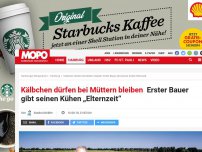 Bild zum Artikel: Kälbchen dürfen bei Müttern bleiben: Erster Bauer gibt seinen Kühen „Elternzeit“