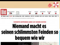 Bild zum Artikel: Hunderte Gefährder leben auf unsere kosten - Niemand macht es seinen Feinden so bequem