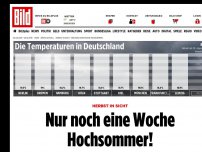 Bild zum Artikel: Herbst in Sicht - Nur noch eine Woche Hochsommer!