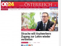 Bild zum Artikel: Strache will Flüchtlingen Zugang zur Lehre wieder verbieten