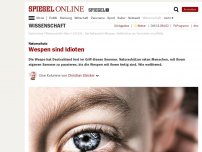 Bild zum Artikel: Naturschutz: Wespen sind Idioten