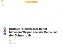 Bild zum Artikel: Brutaler Hundehasser trennt hilflosem Welpen alle vier Beine und den Schwanz ab