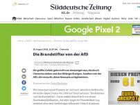 Bild zum Artikel: Meinung am Mittag: Chemnitz: Die Brandstifter von der AfD