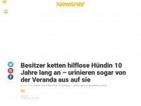 Bild zum Artikel: Besitzer ketten hilflose Hündin 10 Jahre lang an – urinieren sogar von der Veranda aus auf sie