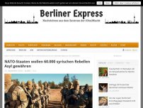 Bild zum Artikel: NATO-Staaten wollen 60.000 syrischen Rebellen Asyl gewähren