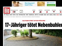 Bild zum Artikel: BLutiger Streit um ein Mädchen - 17-Jähriger tötet Nebenbuhler