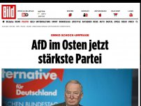 Bild zum Artikel: Emnid Schock-Umfrage - AfD im Osten jetzt stärkste Partei