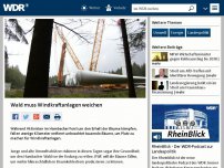 Bild zum Artikel: Wald muss Windkraftanlagen weichen