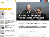 Bild zum Artikel: AfD steigt in Umfrage zur stärksten Partei im Osten auf