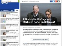 Bild zum Artikel: AfD steigt in Umfrage zur stärksten Partei im Osten auf