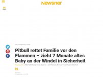 Bild zum Artikel: Pitbull rettet Familie vor den Flammen – zieht 7 Monate altes Baby an der Windel in Sicherheit