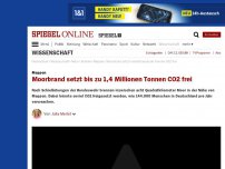 Bild zum Artikel: Meppen: Moorbrand setzt bis zu 1,4 Millionen Tonnen CO2 frei