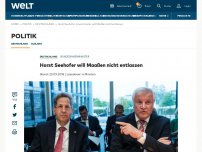 Bild zum Artikel: Horst Seehofer will Maaßen nicht entlassen