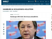 Bild zum Artikel: Hamburger AfD-Chef Jörn Kruse schmeißt hin