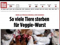 Bild zum Artikel: Mehr als für das Original! - So viele Tiere sterben für Veggie-Wurst