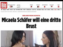 Bild zum Artikel: Berliner Promi-Nudistin - Micaela Schäfer will eine dritte Brust