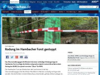 Bild zum Artikel: OVG Münster stoppt vorerst Rodung im Hambacher Forst