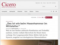 Bild zum Artikel: Diesel Fahrverbote - „Das ist wie beim Hexenhammer im Mittelalter“