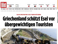 Bild zum Artikel: Tierschützer protestierten - Elend für Touri-Esel auf Santorini hat ein Ende