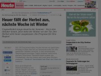 Bild zum Artikel: Die Wetterprognose für Ihre Region: Heuer fällt der Herbst aus, nächste Woche ist Winter