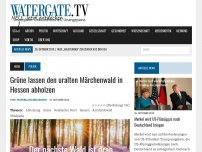 Bild zum Artikel: Grüne lassen den uralten Märchenwald in Hessen abholzen