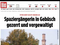 Bild zum Artikel: Täter griff sie mit Messer an - Frau in Gebüsch gezerrt und vergewaltigt