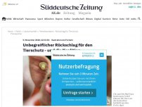 Bild zum Artikel: Kastration von Ferkeln: Unbegreiflicher Rückschlag für den Tierschutz - und die Koalition