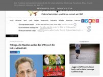 Bild zum Artikel: 7 Dinge, die Maaßen außer der SPD noch für linksradikal hält