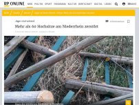 Bild zum Artikel: Jäger sind wütend: Mehr als 60 Hochsitze in den Kreisen Wesel und Kleve zerstört