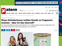 Bild zum Artikel: VegDog aus 'Höhle der Löwen': Diese Gründerinnen wollen Hunde zu Veganern machen - aber ist das sinnvoll?