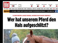 Bild zum Artikel: Wallach am Hals Verletzt - Polizei sucht irren Pferde-Ripper